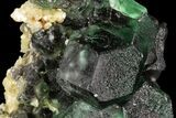 Black Tourmaline (Schorl) Encased in Fluorite - Namibia #93700-1